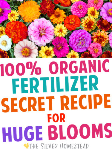 Secret Organic Fertilizer recipe Mix for Huge blooms