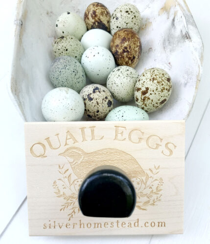 celadon coturnix quail eggs in a white scoop next to a quail egg carton stamp