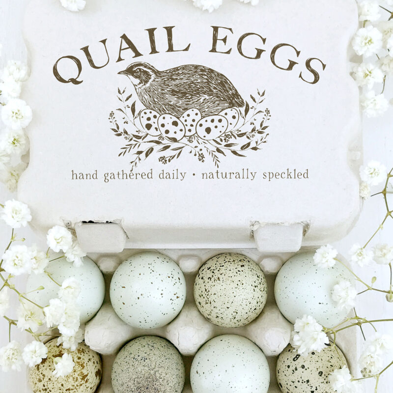 2x3.5 inch Quail Egg Carton Rubber Stamp | Coturnix Quail Nesting Hen | Q01
