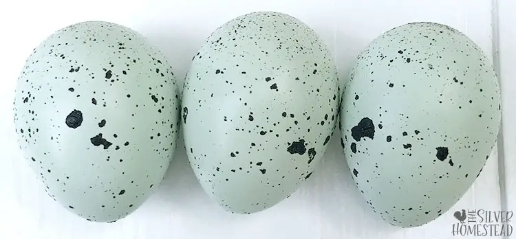 3 speckled celadon blue coturnix quail eggs