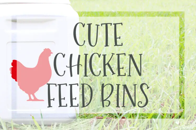 Rodent Proof Chicken Feed Storage Bins cute hen food scratch grain container store fresh layer pellets chick crumble sunflower seeds BOSS custom vinyl label labels labeling vittles vault gamma lid bucket quail game bird all flock non-GMO organic feeds