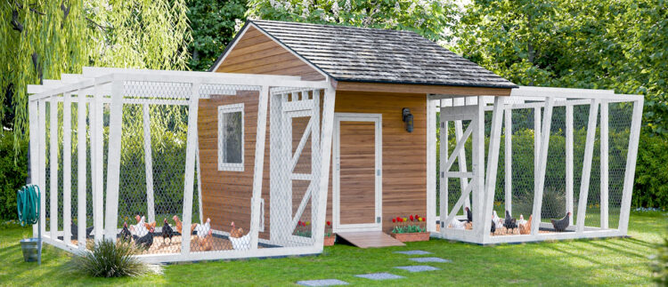 a rectangular wood planked chicken coop with white wood runs to the left and right, allowing for a split flock to have separate outdoor space