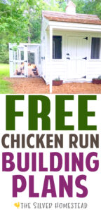 a white shiplap chicken coop with a cedar wood roof and white chicken run with text that reads free chicken run building plans