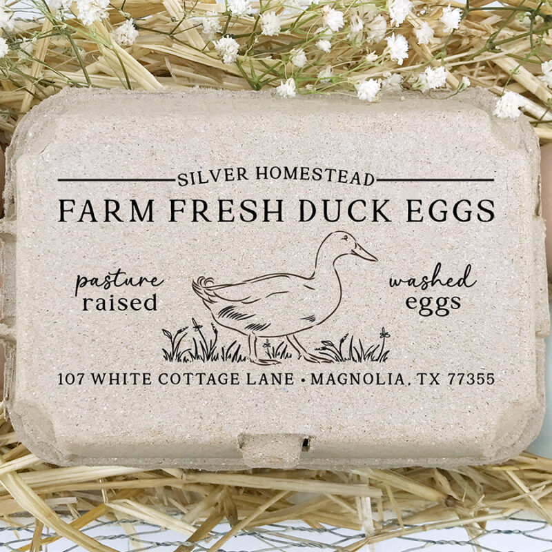 DUCK Egg Carton Rubber Stamp | 4x2 inch Domestic Duck Design | Fits Half Dozen Cartons | K08
