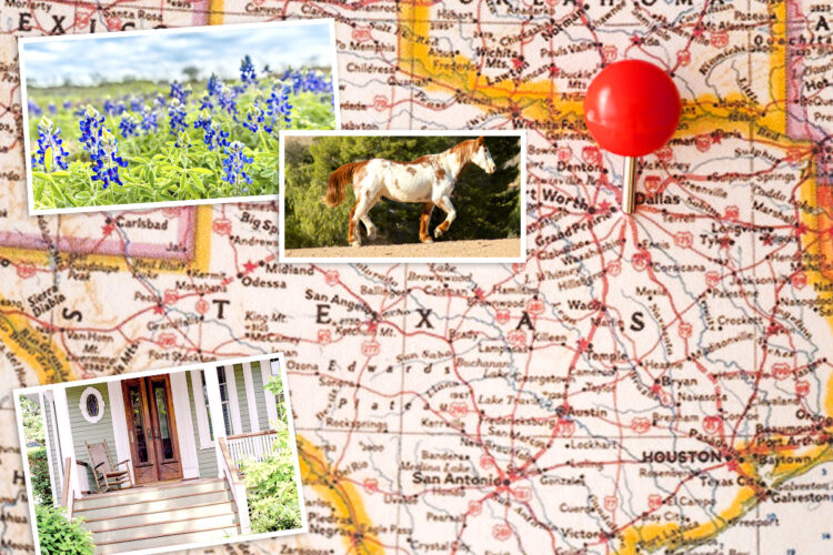 A paper map of Texas scattered with postcard style images of bluebonnet flowers, a brown and white horse and a southern style front porch, as if someone is planning a move to Texas