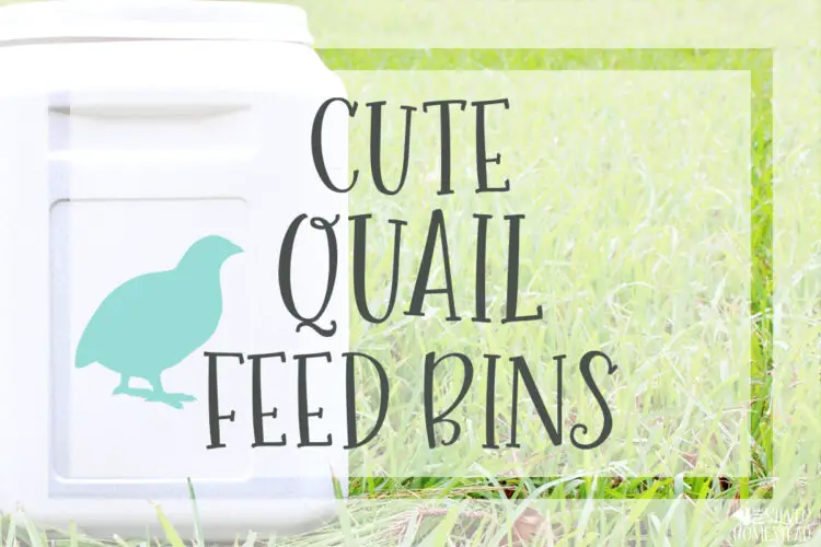 cute labeled Coturnix quail feed storage bins 