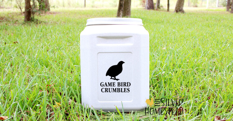a plastic bin holding quail feed labeled game bird crumbles sitting in pasture grass