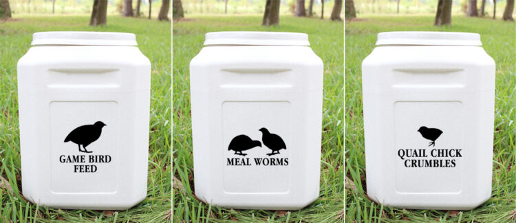 3 labeled quail feed bins with game bird feed, meal worms, and quail chick crumbles text