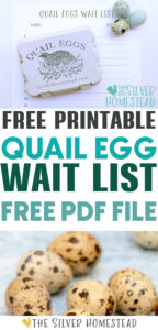 Quail Egg Wait List Free Printable PDF 