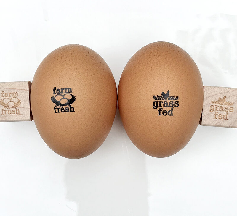 2 for $20 | Two 1/2 inch Mini Egg Shell Stamps | Does NOT Come with Ink Pad