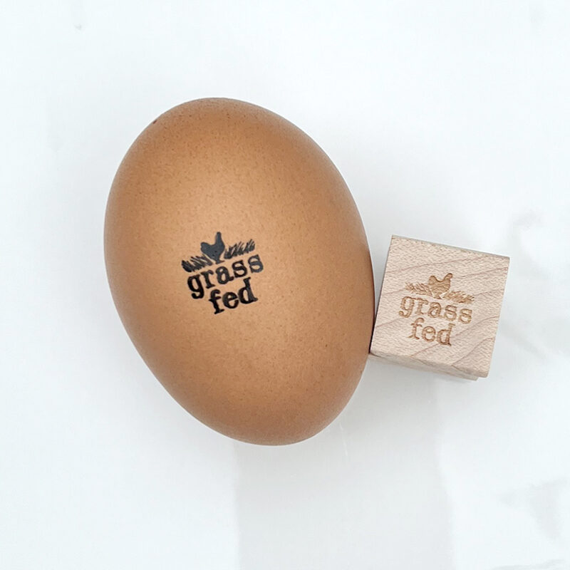 1/2 inch Mini Egg Shell Stamp - JUST 1 Stamp Shipped | Does NOT Come with Ink Pad